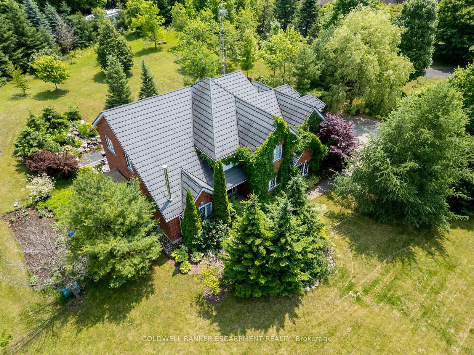 3-morgan-drive-halton-hills-ontario-w12968544