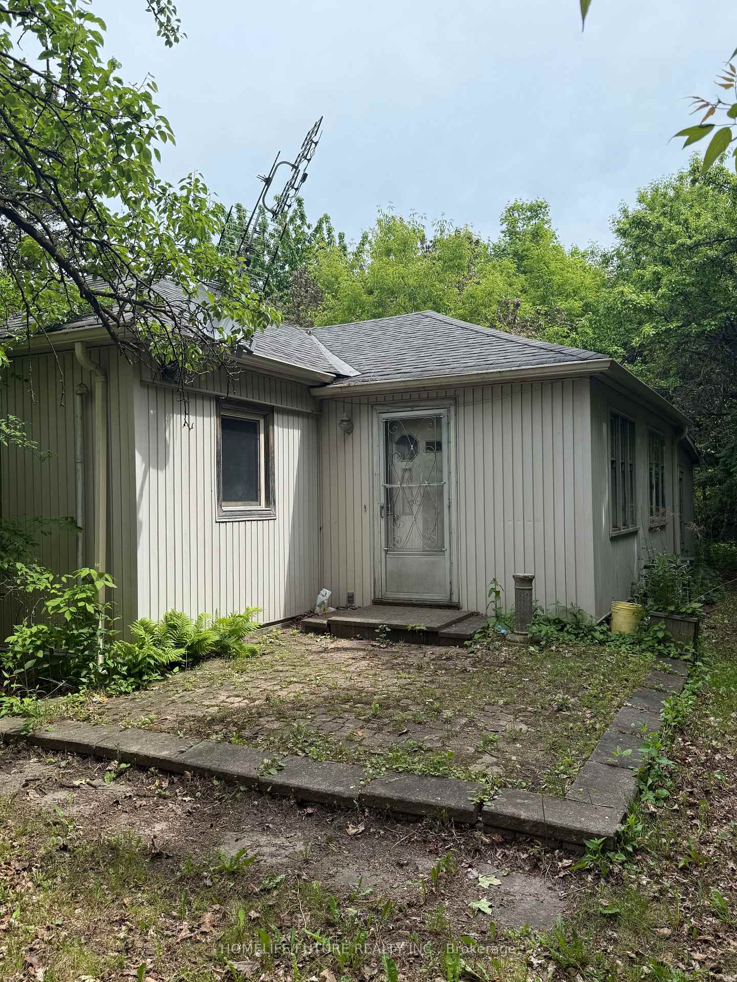 31-maple-bush-avenue-north-york-ontario-w12969886
