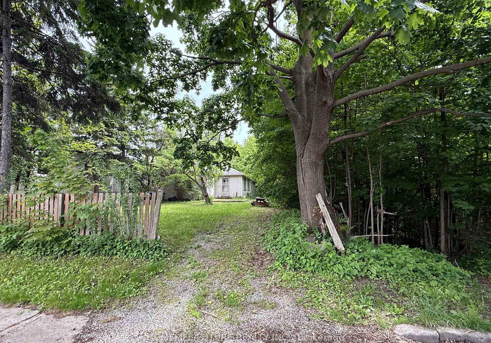 31-maple-bush-avenue-north-york-ontario-w12969886
