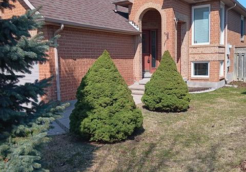57-royal-orchard-drive-brampton-ontario-w12973332