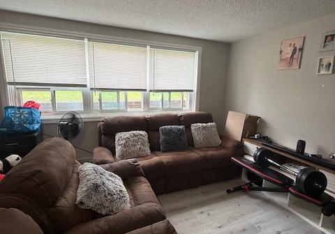 9-ellen-street-mississauga-ontario-w12993666