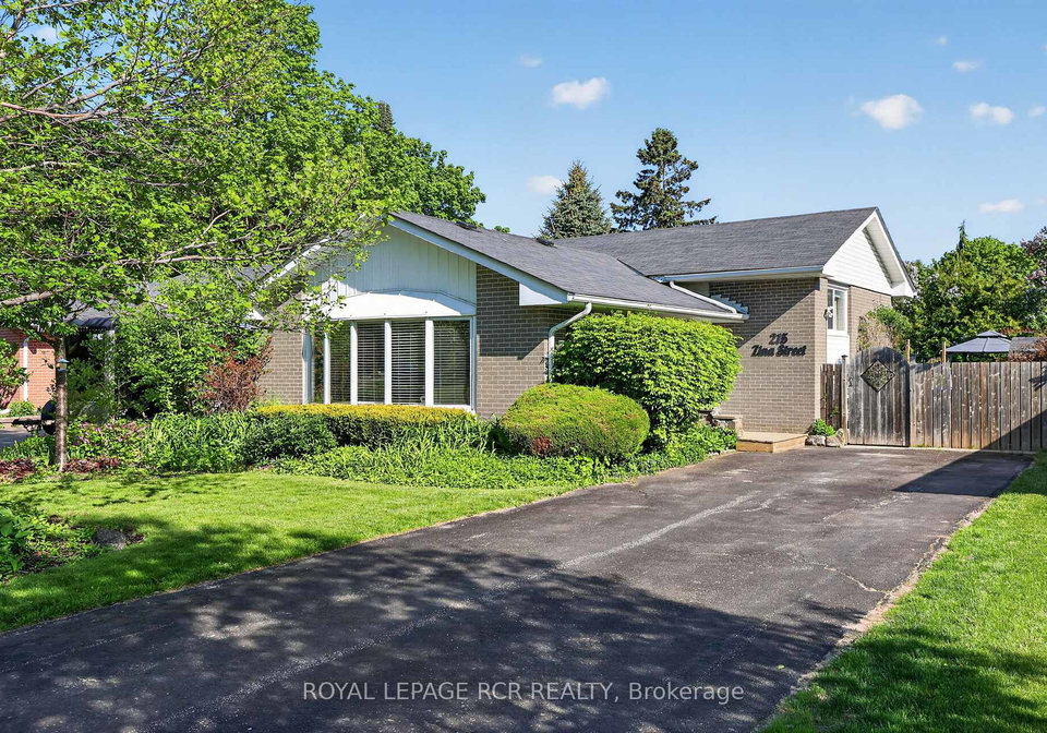 215-zina-street-orangeville-ontario-w12995938