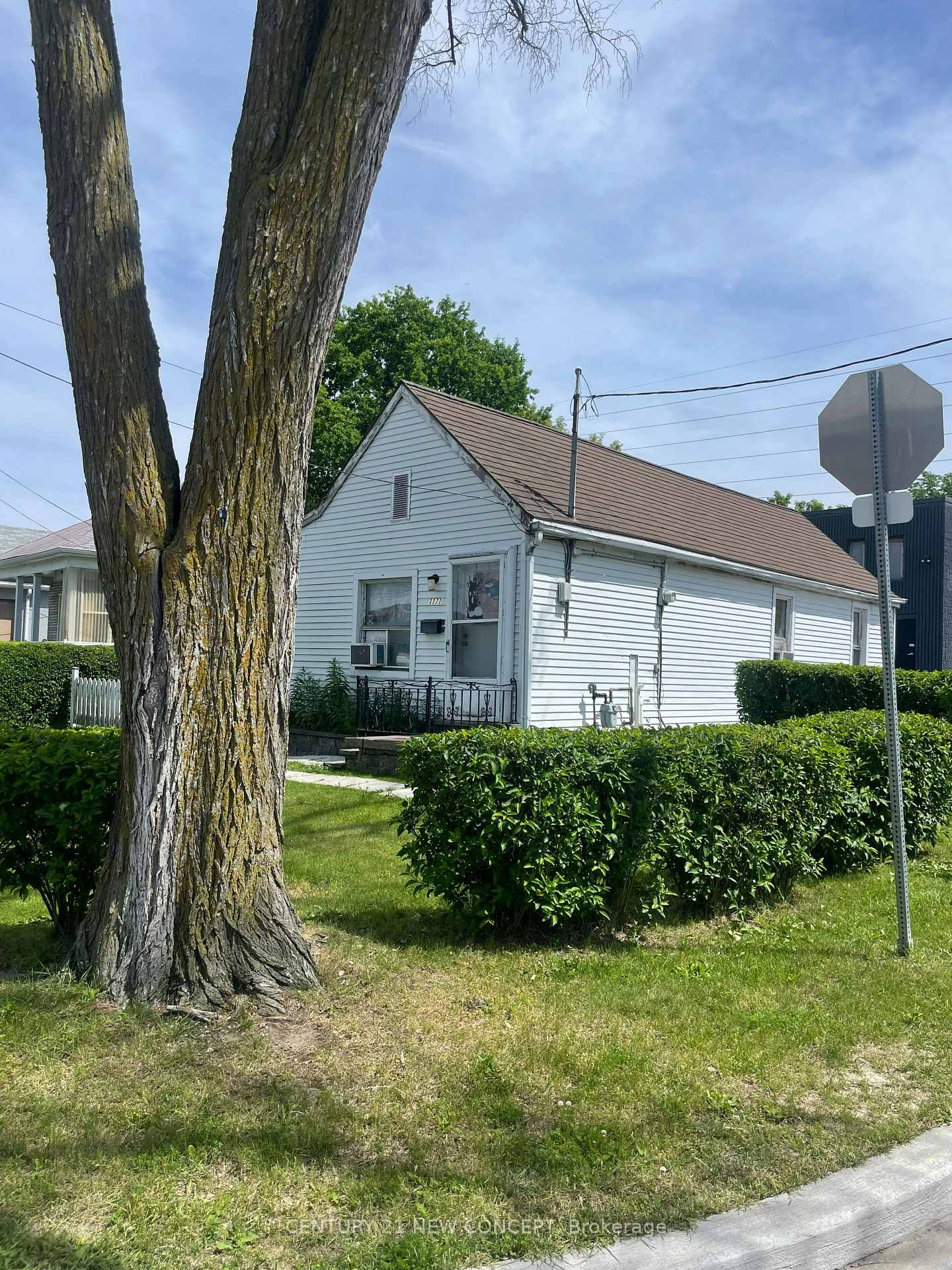 1171-roselawn-avenue-north-york-ontario-w12998658