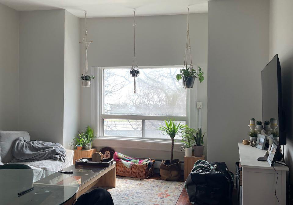 96-springhurst-avenue-toronto-ontario-w13006342