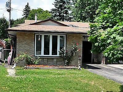33-belleview-drive-orangeville-ontario-w13015308