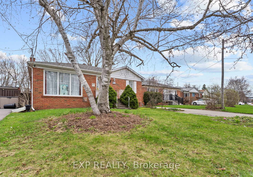 36-shelley-street-halton-hills-ontario-w13024810