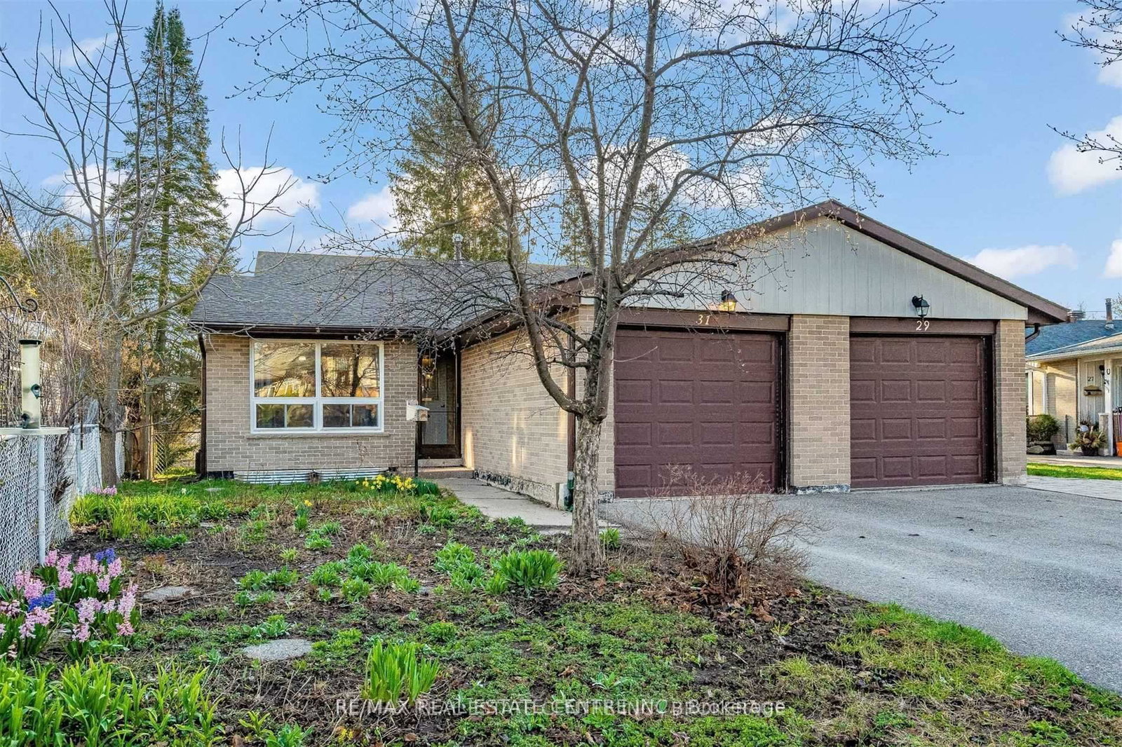 31-shirley-street-orangeville-ontario-w13028286