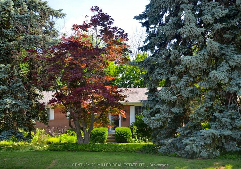 463-avon-crescent-oakville-ontario-w13041454