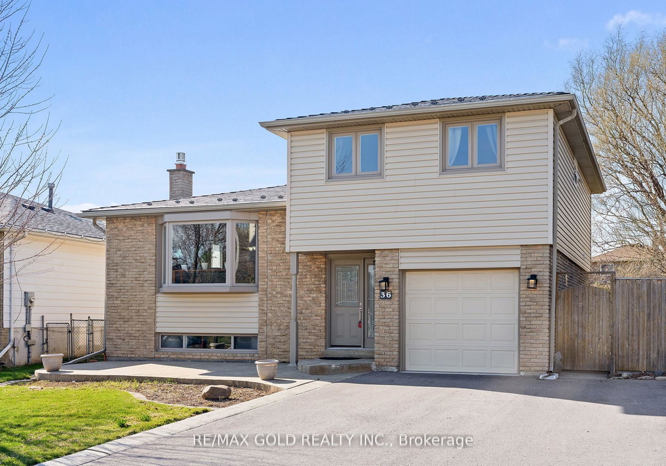 36-greenmount-road-brampton-ontario-w13045676