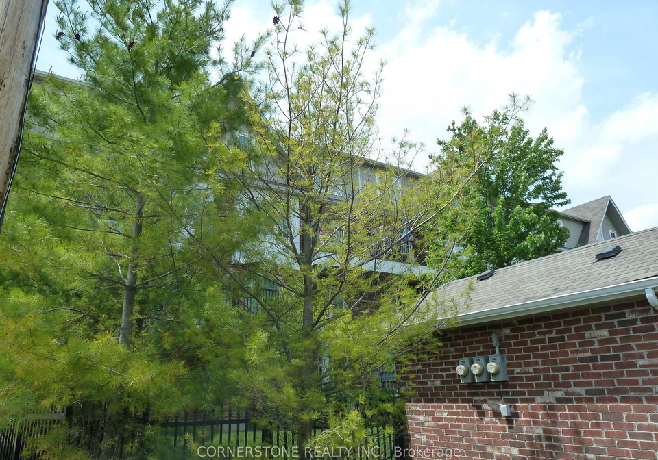 5-armstrong-street-orangeville-ontario-w13055674