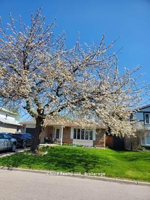 71-grassington-crescent-brampton-ontario-w13056958