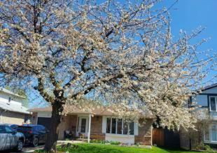 71-grassington-crescent-brampton-ontario-w13056958