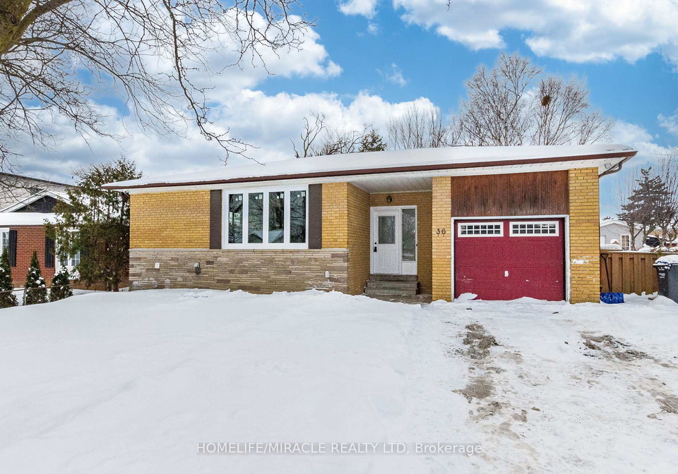 36-mclaughlin-road-n-brampton-ontario-w13062526