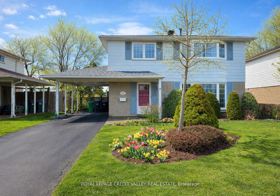 43-benton-street-brampton-ontario-w13071550