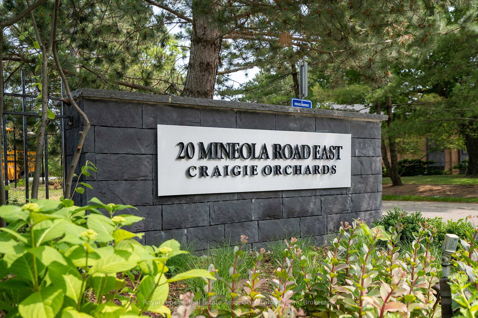 20-mineola-road-e-mississauga-ontario-w13080274