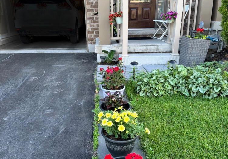 26-winterton-court-orangeville-ontario-w13091040