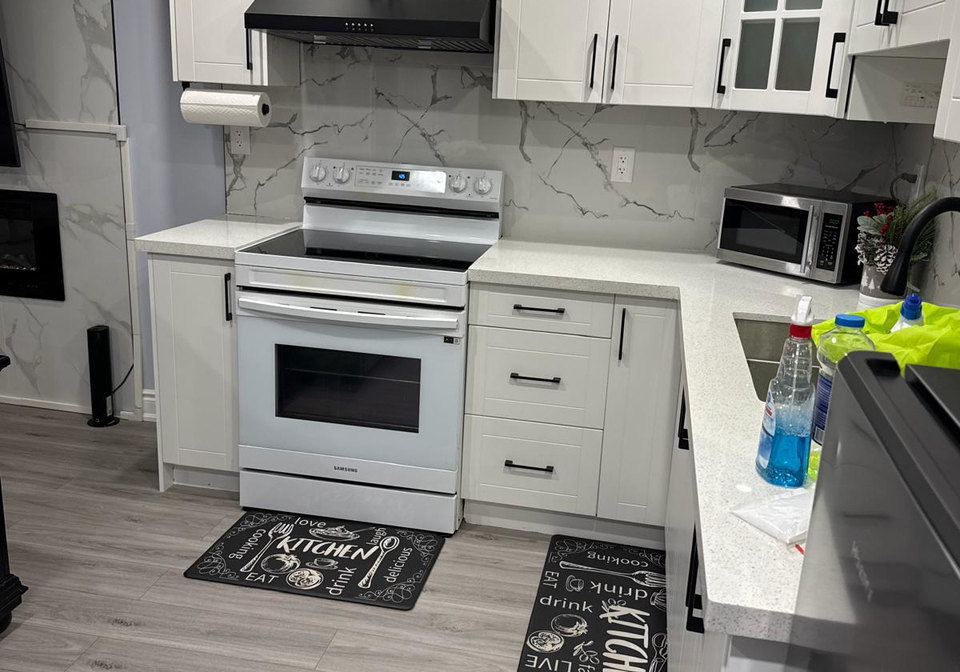259-robert-parkinson-drive-brampton-ontario-w13099170