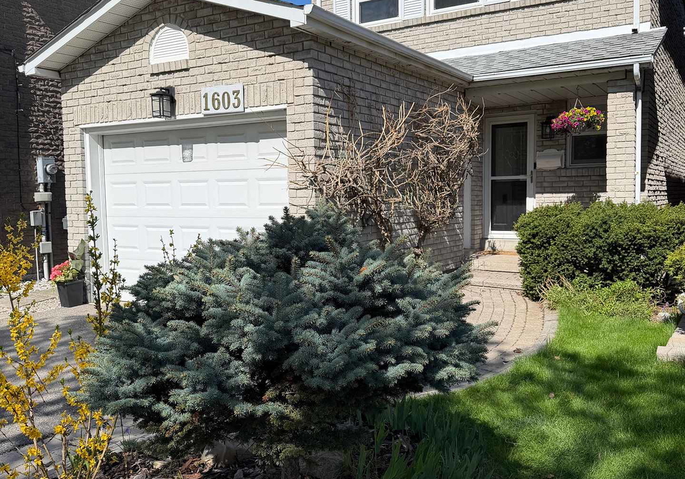 1603-dewberry-crescent-mississauga-ontario-w13099394