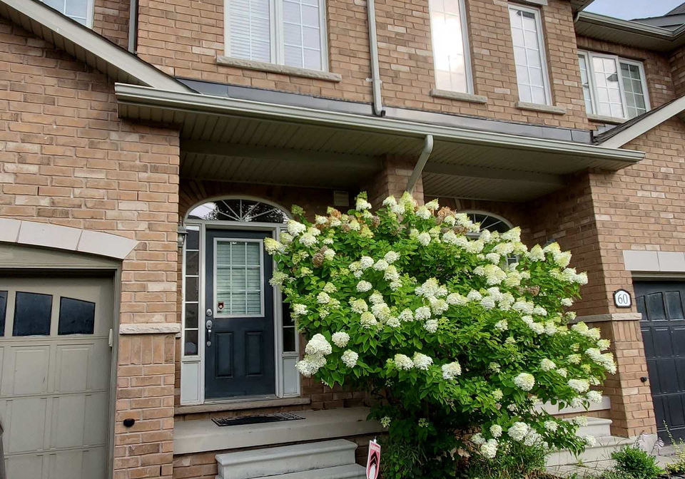 651-farmstead-drive-milton-ontario-w13104690
