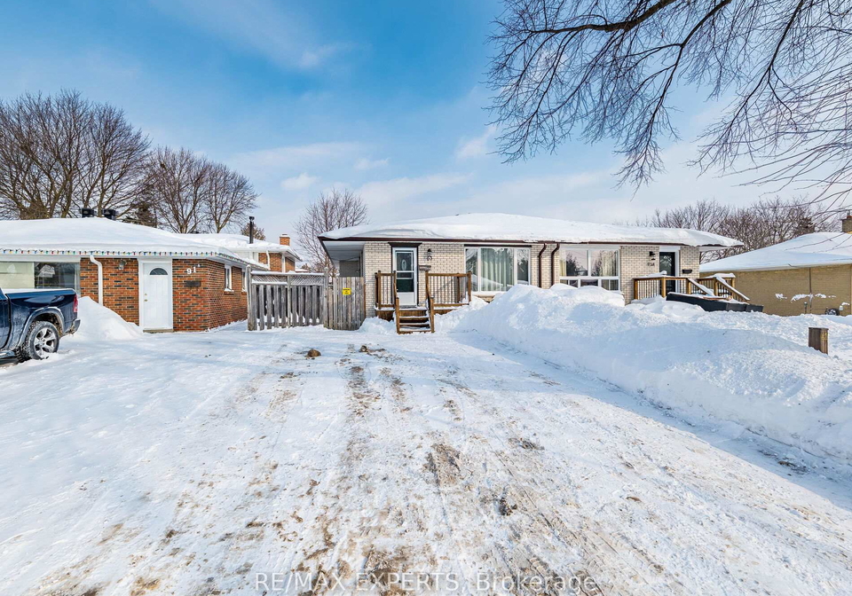 93-dawson-road-orangeville-ontario-w13114380