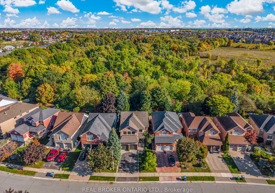 67-summer-valley-drive-brampton-ontario-w13116156