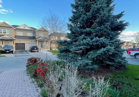 24-pergola-way-brampton-ontario-w13121256