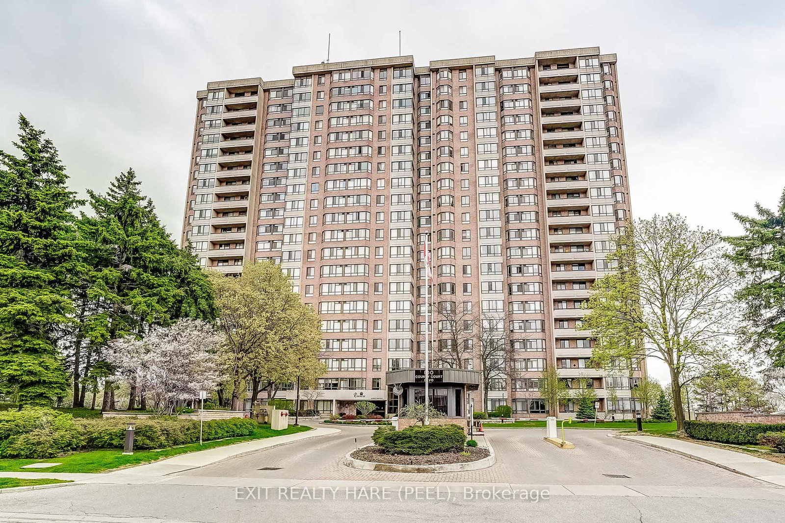 100-county-court-boulevard-brampton-ontario-w13123972