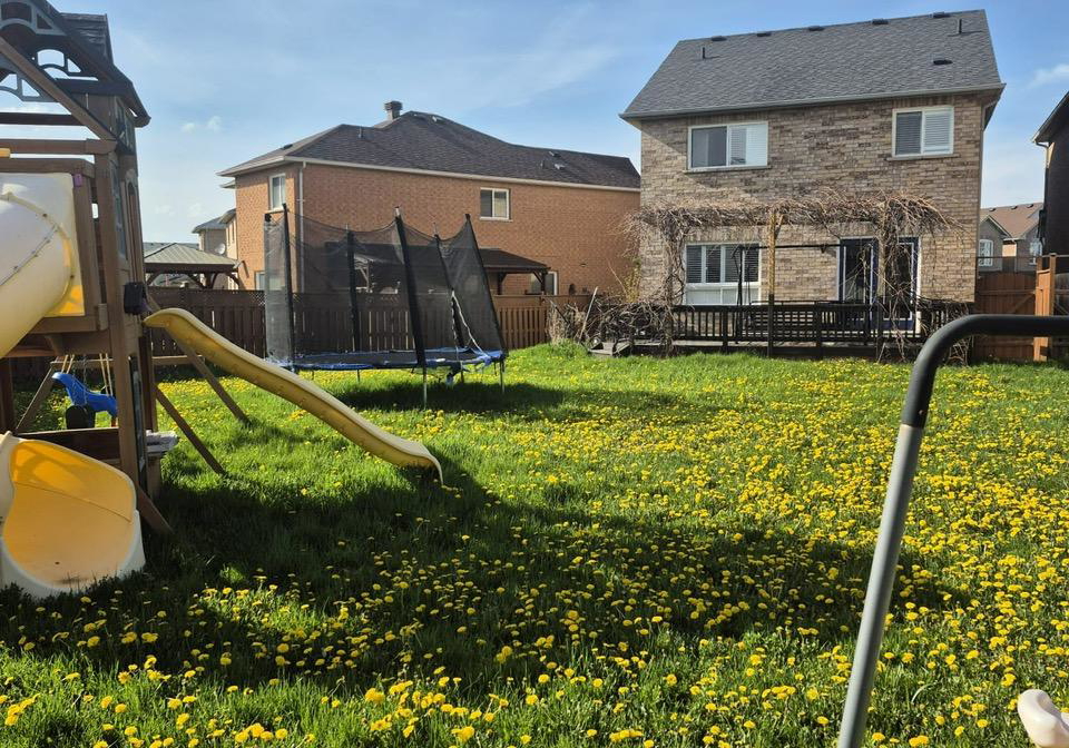30-trevino-crescent-brampton-ontario-w13130674