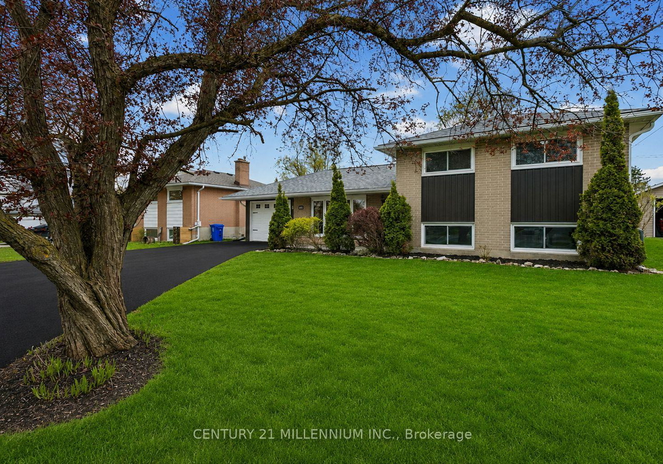 86-dawson-road-orangeville-ontario-w13134952