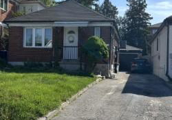 71-claybrooke-street-north-york-ontario-w13149132