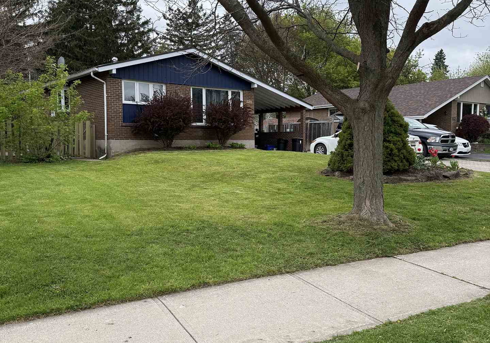 320-williams-avenue-milton-ontario-w13154712