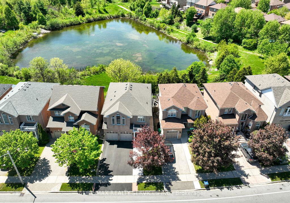 58-queen-mary-drive-brampton-ontario-w13162344