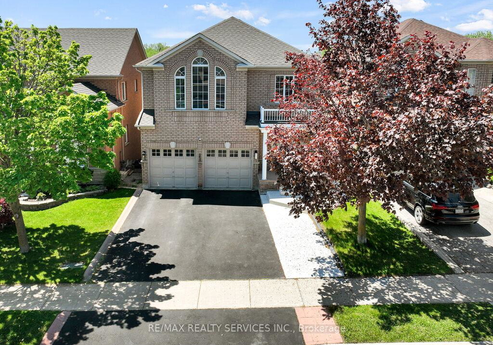 58-queen-mary-drive-brampton-ontario-w13162344