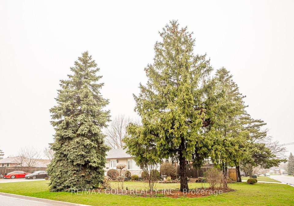 37-carlyle-crescent-brampton-ontario-w13169432