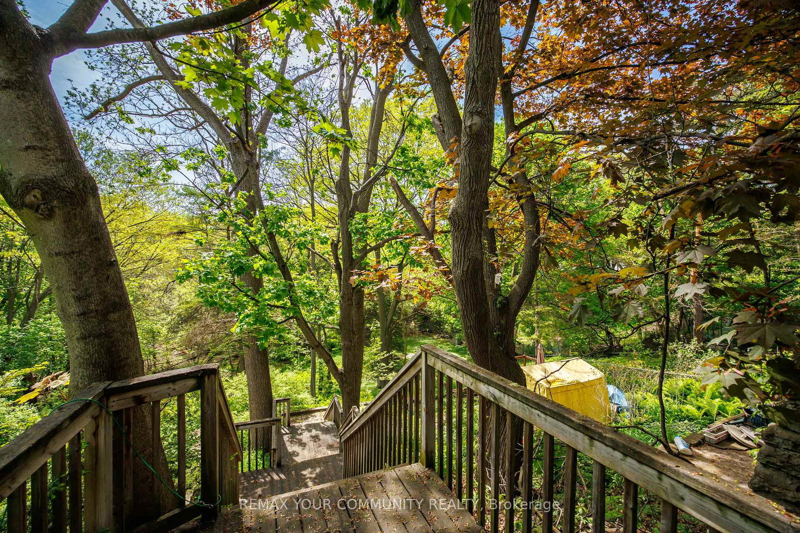 236-ellis-avenue-toronto-ontario-w13174396