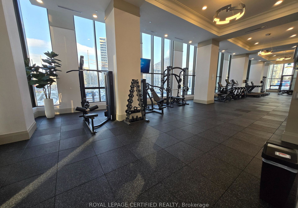 30-elm-drive-w-mississauga-ontario-w13178768