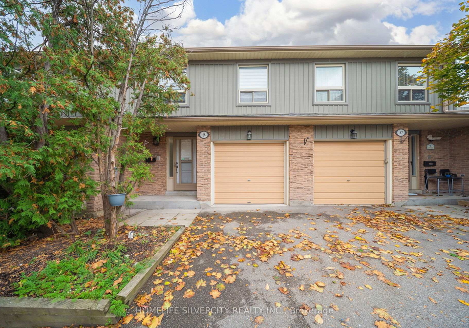 60-hanson-road-mississauga-ontario-w13198764