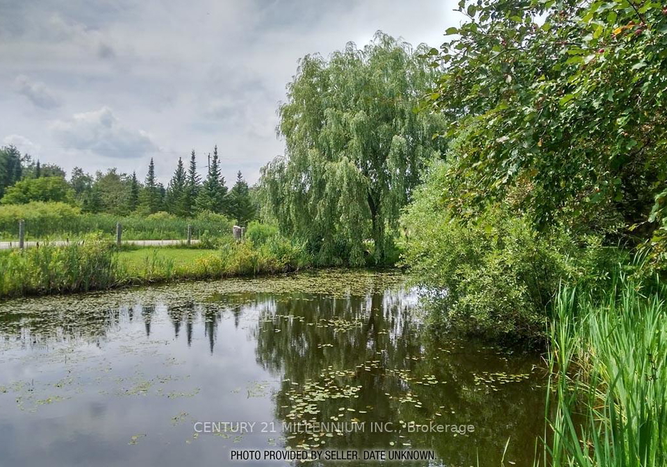 18599-horseshoe-hill-road-caledon-ontario-w13206484