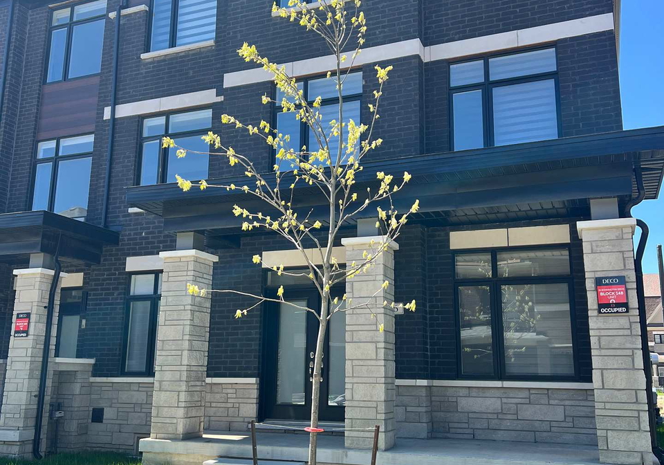16-bonnington-drive-brampton-ontario-w13206546