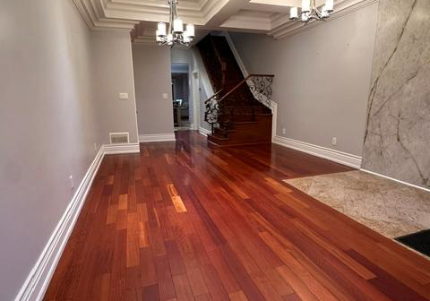 81-livingstone-avenue-north-york-ontario-w13208668
