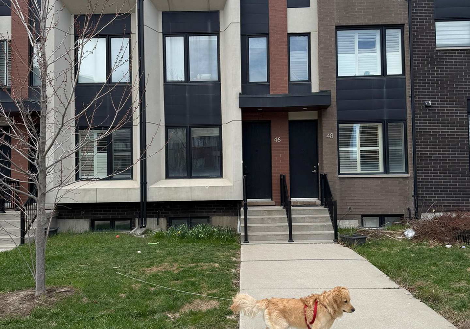 46-sarah-jackson-crescent-york-ontario-w13218012
