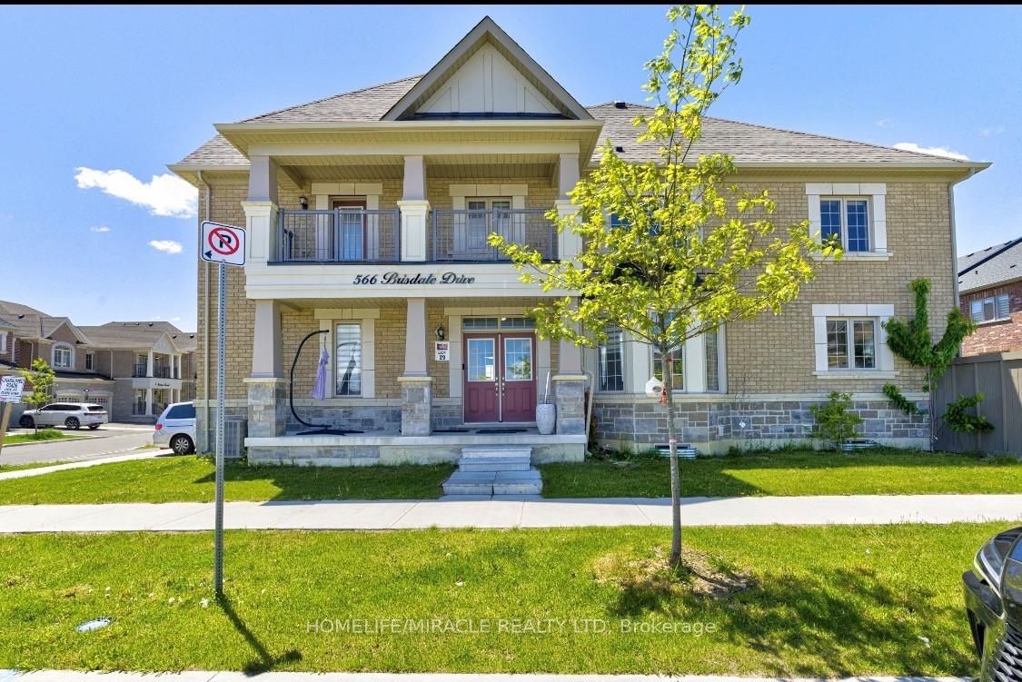 566-brisdale-drive-brampton-ontario-w13218534