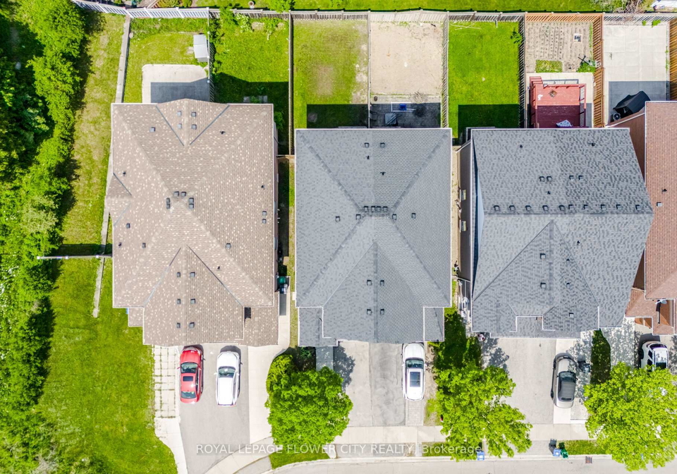 24-martree-crescent-brampton-ontario-w13219990