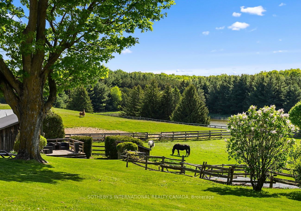 18101-shaws-creek-road-caledon-ontario-w13228544