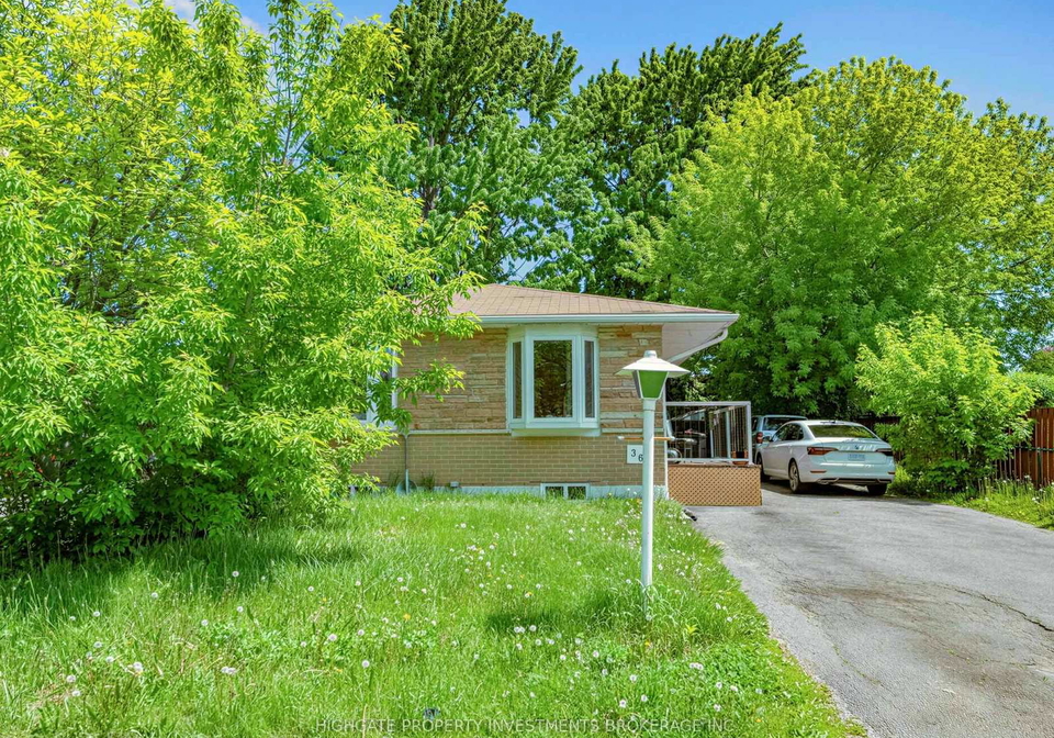36-reigate-avenue-brampton-ontario-w13233112