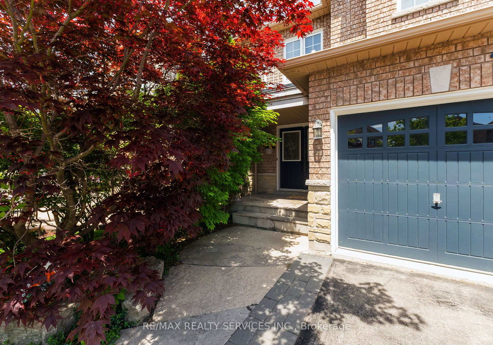 295-queen-mary-drive-brampton-ontario-w13233558