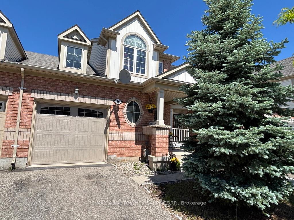 36-van-fleet-terrace-milton-ontario-w13241812