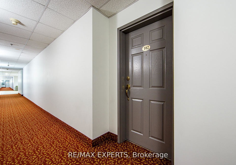 391-plains-road-e-burlington-ontario-w13241836