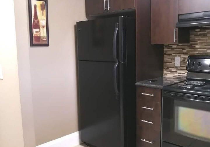 4-elsinore-path-etobicoke-ontario-w13247018