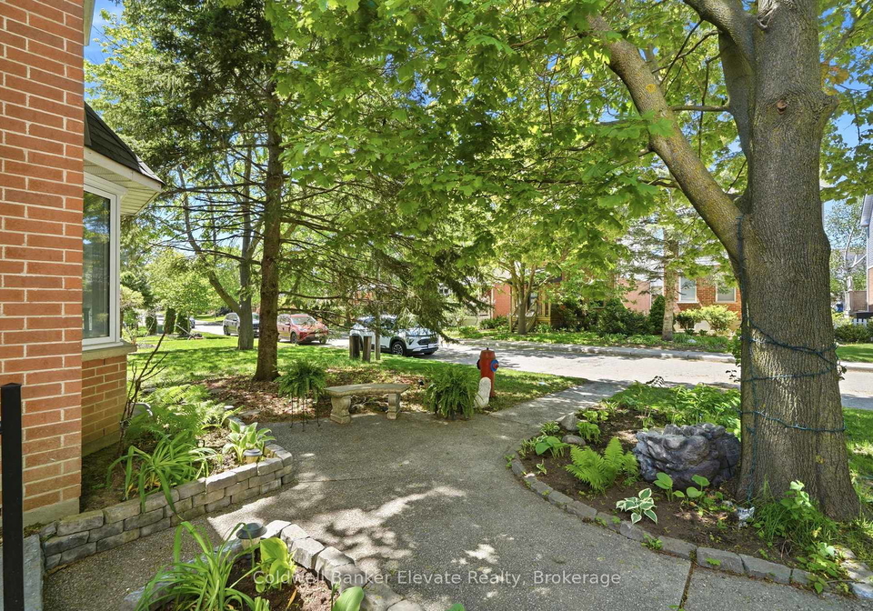 334-cottonwood-street-orangeville-ontario-w13413880